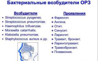 Трахеобронхит