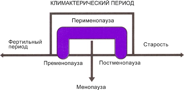 Климактерический период