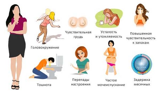 Признаки беременности на ранних сроках